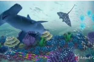 掌中彩welcome桌面版客户端